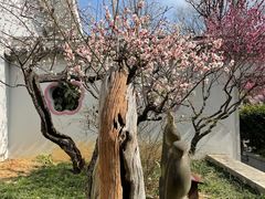 -无锡梅园公园