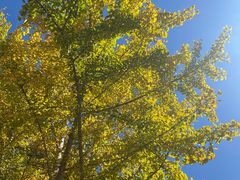 -途中饭店(开化店)