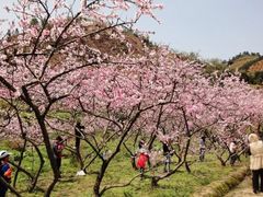 -白沙门生态公园
