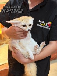 -Zoolung Zoolung动物主题公园(海信广场店)