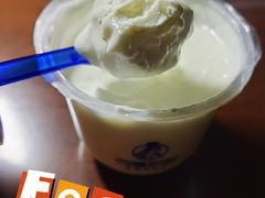 -西琳姑娘·新疆冰淇淋酸奶茶(南开大悦城店)