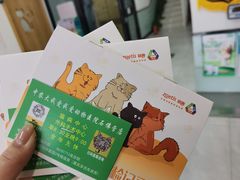 -中农大我爱我爱动物医院·核磁CT·猫病·24小时夜诊中心(石佛营店)