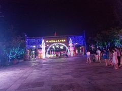 -杭州湾海上花田景区