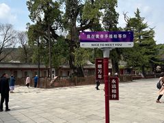 -黄帝陵