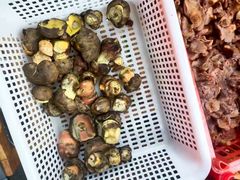 -草墩罗非鱼庄•野生菌•腊排骨(七星街上段店)