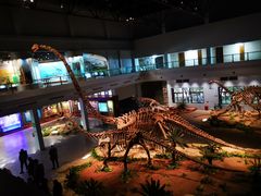 -自贡恐龙博物馆