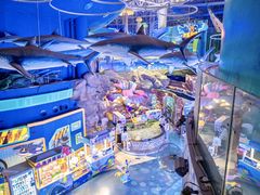 -烟台海昌鲸鲨海洋公园