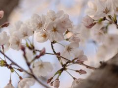 -苏州太湖国际会议中心