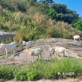 美到哭的象山饭桶山[调皮]