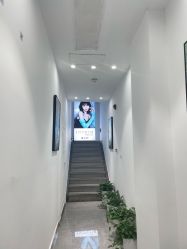 -形象公社