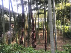 -宜兴富陶温泉