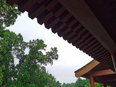 -黄帝陵