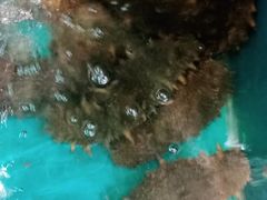 -中苑海韵