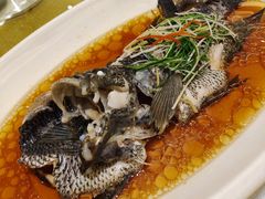 -骏莱海鲜鱼港(五角场店)