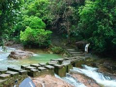 -广州白江湖森林公园