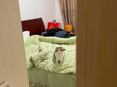 -伟伟宠物医院·CT影像中心·瑞派犬猫综合性门诊(汉口总院)