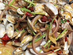 辣炒青岛花蛤-必点海鲜·鲅鱼水饺(鞍山西道店)