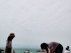 -玫瑰海岸文化旅游度假区