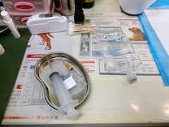 -芭比堂动物医院(广州爱宠下渡路分院)