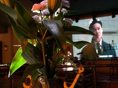 -长沙猫歌音乐餐厅(湖南女子大学店)