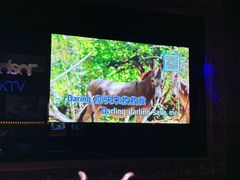 -温莎KTV(珠江路店)