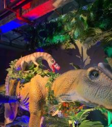 -恐龙探索乐园(磁器口店)