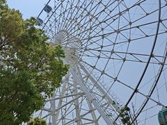 -常州淹城野生动物世界