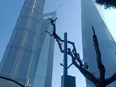 -上海中心大厦