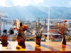 -唐咖精品咖啡(大理古城手冲店)