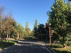 -中家鑫园温泉酒店鑫悦汤泉