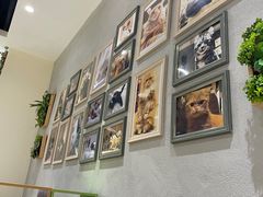 -藏猫猫咖啡主题馆(中央大道店)