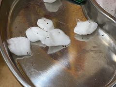 -瑞派雷欧宠物医院·24h夜诊·心脏骨科牙科·全科重症转诊中心(无影山店)