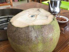 -15年老字号鑫鑫猪肚鸡·椰子鸡海南火锅(兴隆华侨农场店)