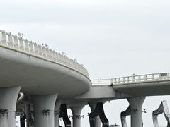 -演武大桥观景平台