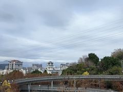 -福道