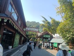 -野象谷景区