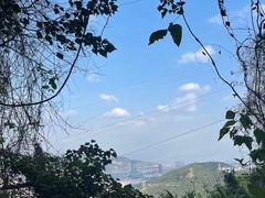 -梧桐山风景名胜区