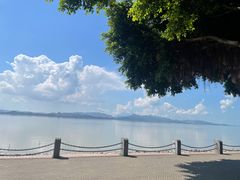 -深圳湾公园(南山区)