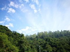 -火炉山森林公园
