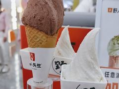 -野人先生现做冰淇淋(西安赛格店)