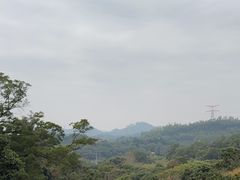 -深圳仙湖植物园