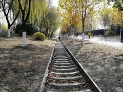 -永定河休闲森林公园