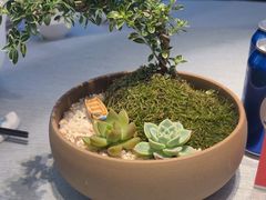 -绿波廊(豫园店)