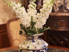 -秦美花卉(天朗·莱茵小城2期店)