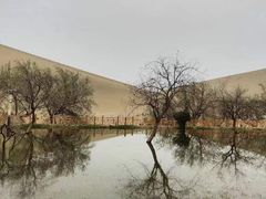 -敦煌莫高窟数字展示中心