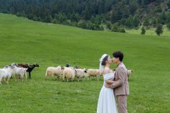 -花漾摄影优选工作室(东莞原创作品店)