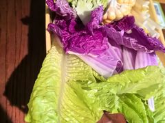 -花菇朵·云山雀 ll 野生菌火锅·精品云南菜(万柳店)