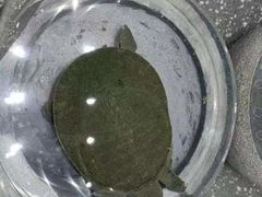 -映月潭传家菜(易俗河店)