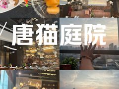 -唐猫庭院·千年陕菜(赛格国际购物中心店)