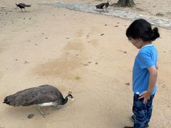 -秦皇岛野生动物园
